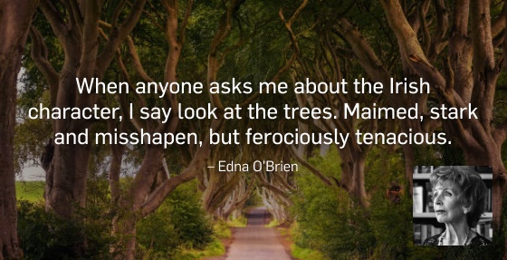 When anyone asks me about the Irish character, I say look at the trees. Maimed, stark and misshapen, but ferociously tenacious. — Edna O'Brien